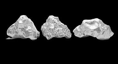 Altının yükselişine odaklanırken beyaz taş gizliden yükseldi! Elinde olanlar yaşadı