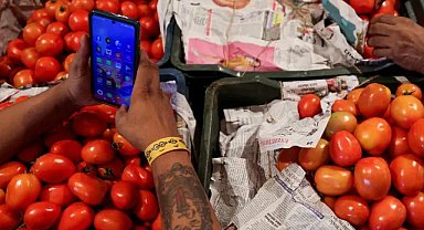 Antalya Havalimanı'nda virüslü domates tohumu ele geçirildi