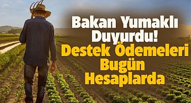 Bakan Yumaklı duyurdu! Destek ödemeleri bugün hesaplara aktarılacak