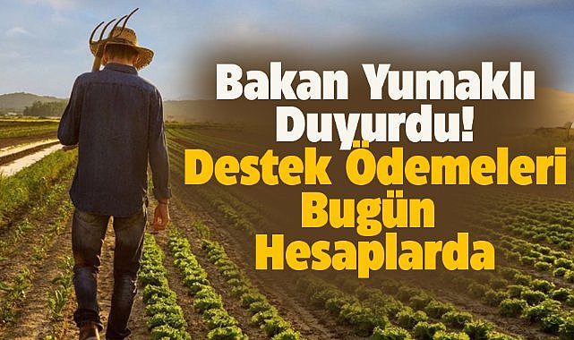 Bakan Yumaklı duyurdu! Destek ödemeleri bugün hesaplara aktarılacak