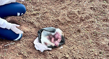 Bebeğinin cesedini araziye atan anne tutuklandı