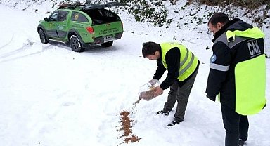 Canik Belediyesinden yüksek kesimlerdeki canlara kalpleri ısıtan yardım!