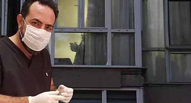 Çocuklarımın babası dedi vurdu! Diş hekimi yaşam mücadelesini kaybetti