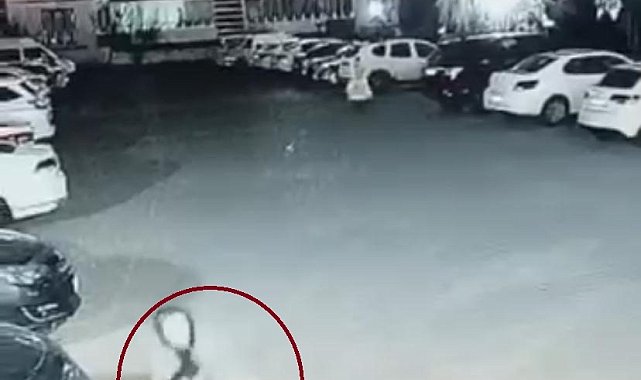 Diyarbakır'da sokak köpeğinin saldırdığı 3 kişi yaralandı