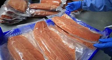 Doğu Karadeniz'de Türk somonu ihracatı 3,9 milyon doları aştı