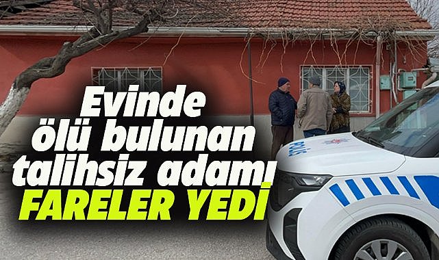 Evinde ölen 67 yaşındaki adamı fareler yedi