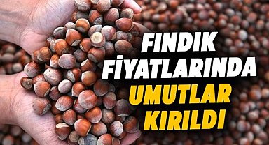 Fındık fiyatlarında umutlar kırıldı