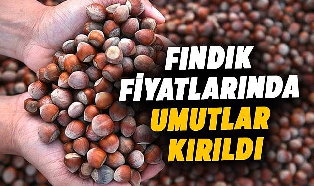 Fındık fiyatlarında umutlar kırıldı