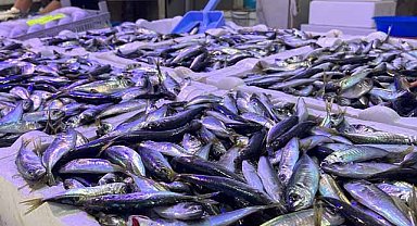 İstavrit tezgahları şenlendirdi