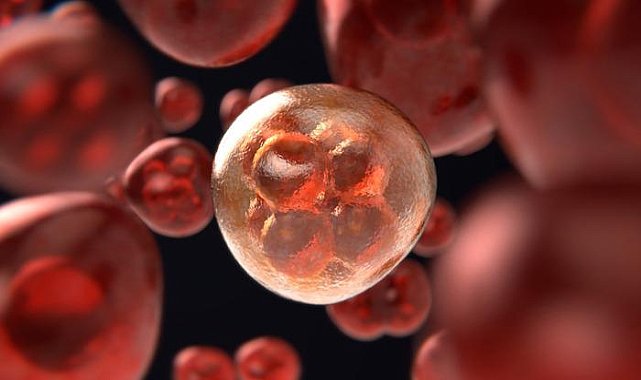 Kanserde devrim yaratacak adım: Yeni aşı tam iyileşme sağlıyor... 9 hasta tedavi edildi!