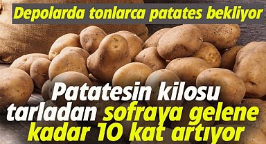 Patates fiyatı tarladan sofraya ulaşana kadar 10 kat artıyor