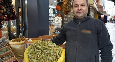 Samsun'da ıhlamurun fiyatı altınla yarışıyor! İlgi kış çayına kaydı