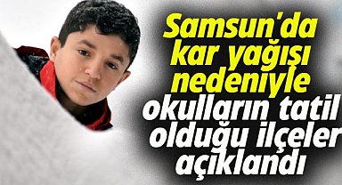Samsun'da kar yağışı nedeniyle okulların tatil olduğu ilçeler açıklandı