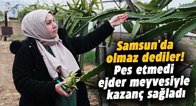 Samsun'da olmaz dediler! Kadın girişimci pes etmedi ejder meyvesiyle kazanç sağladı