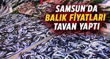 Samsun'da soğuk hava balık fiyatlarını zirveye taşıdı