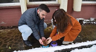 Samsun'da üniversite öğrencileri sahipsiz hayvanlarI sahipsiz bırakmadı