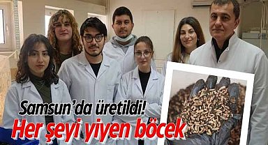 Samsun’da üretildi! Her şeyi yiyen böcek