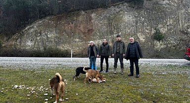 Samsun'da Vezirköprülü avcılar yaban hayvanlarını unutmadı