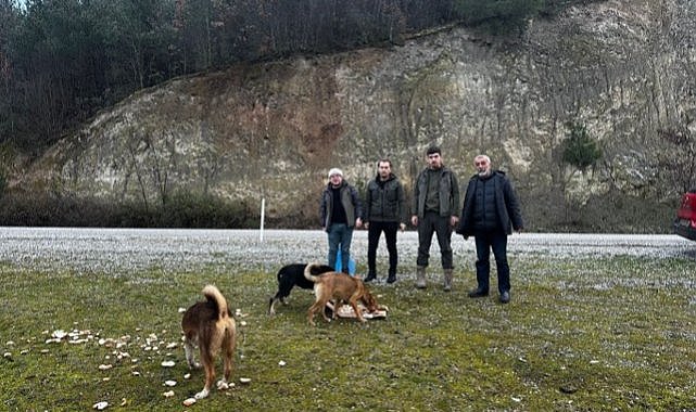 Samsun'da Vezirköprülü avcılar yaban hayvanlarını unutmadı