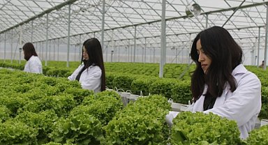 Samsun'un Bafra ilçesinde Sera OSB'de üretim başladı