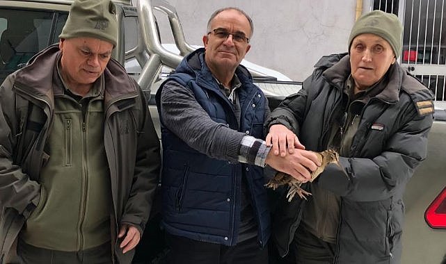 Samsunlu vatandaş aç kalan orman çulluğuna sahip çıktı