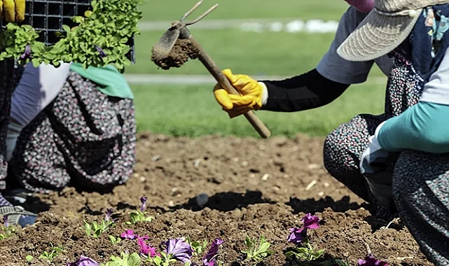 Şehir peyzajcılarına standart geliyor! 81 ilde devreye girecek