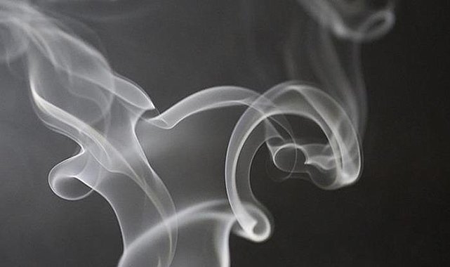 Sinsi ilerleyen hastalığa neden oluyor! Ağızdan başlayarak makata kadar zararlı