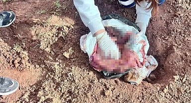 Şırnak’ta bir cani anne çocuğunu iple boğup cesedini poşetle attı!