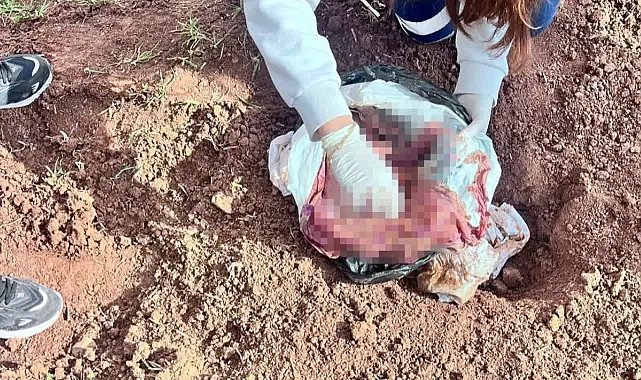 Şırnak’ta bir cani anne çocuğunu iple boğup cesedini poşetle attı!