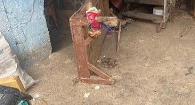 Tarsus’ta evde beslenmesi yasak maymun ve sincap ele geçirildi