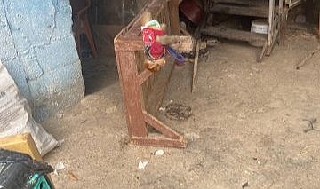 Tarsus’ta evde beslenmesi yasak maymun ve sincap ele geçirildi