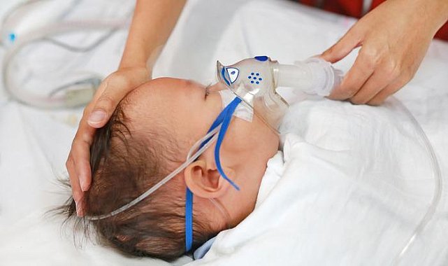 Tüm dünyada salgınlara neden oldu: 'Dört virüs' tehlikesine dikkat! Bu semptomlarla başlıyor!