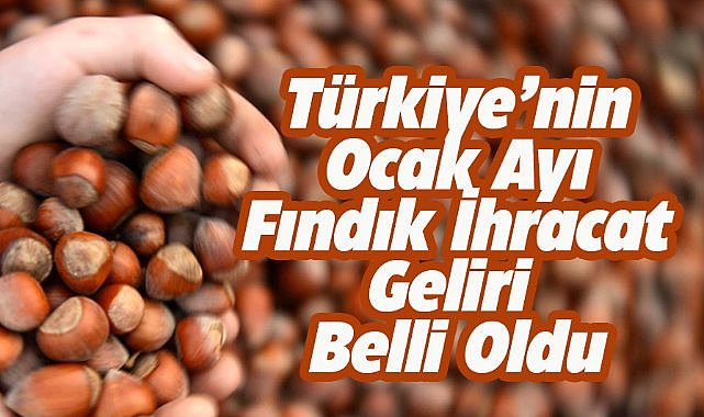 Türkiye'nin 2025 yılı Ocak ayı fındık ihracatı geliri belli oldu