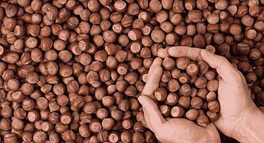 31 Mart fındık fiyatları ne kadar?