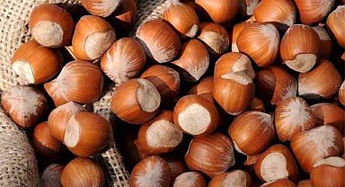 6 Mart fındık fiyatları ne kadar?