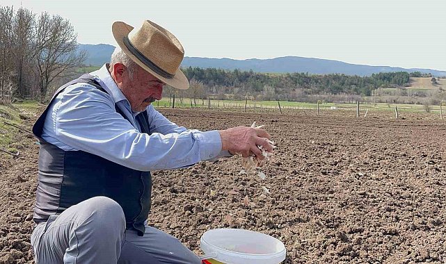 77 yaşındaki çiftçi gençlere taş çıkartıyor