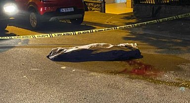 82 yaşındaki kadın çöp kamyonun altında can verdi