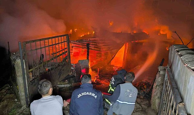Ahşap ev yandı, iki büyükbaş hayvan telef oldu