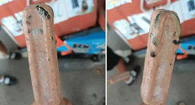 Aldığı dondurmanın içinden yılan çıktı!