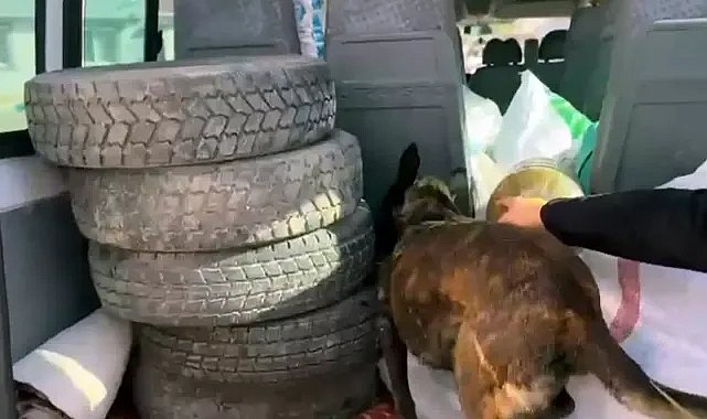 Aracında 10 kilo uyuşturucu bulunan adamın rel savunması: “Ben onları şeker sanıyordum”