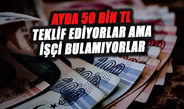Ayda 50 bin TL teklif ediyorlar ama işçi bulamıyorlar