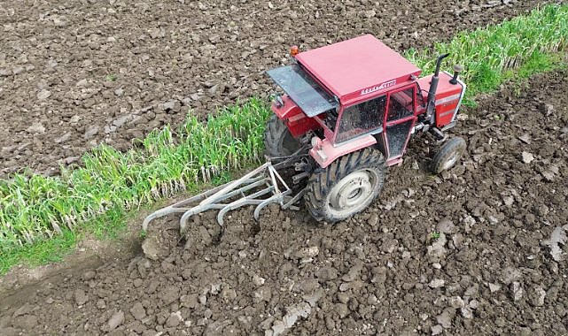 Bafra Ovası’nda 750 bin dekarlık hedef