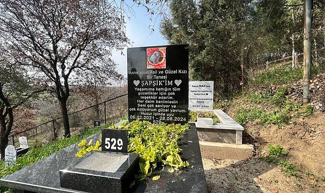 Evcil hayvanlar için 2 bin 500 liraya özel mezar yeri!