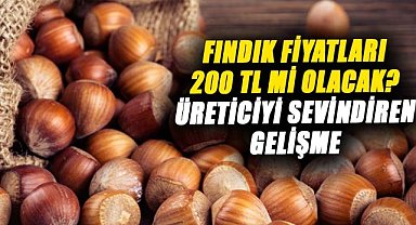 Fındık fiyatları 200 TL mi olacak? Üreticiyi sevindiren gelişme