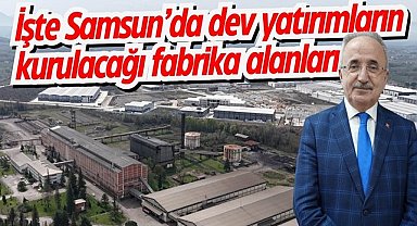 İşte Samsun'da dev yatırımların kurulacağı fabrika alanları