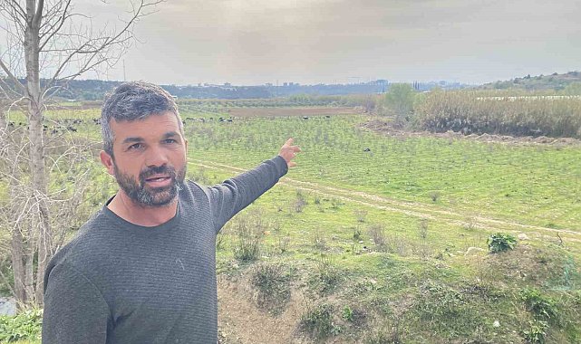 Keçilerini otlatan çobana silahlı saldırı: 1 keçi telef, 1 keçi yaralı