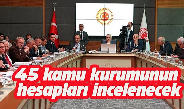 KİT 45 kamu kurumunun hesapları inceleyecek