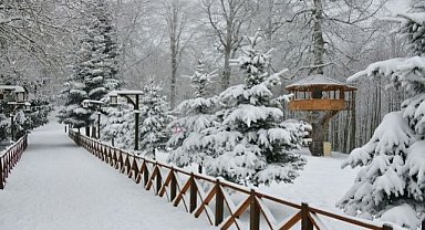 Ordu'da 17 ilçede okullar tatil oldu