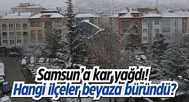Samsun’a kar yağdı! Hangi ilçeler beyaza büründü?