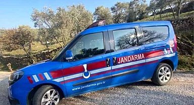 Samsun Bafra'da jandarma hırsızlıklara suçüstü yaptı, mahkeme zanlıları serbest bıraktı